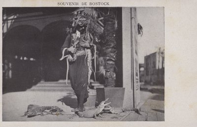 Souvenir från Bostock av French Photographer