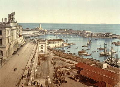 Hamnen i Alger, pub. c.1900 av French Photographer