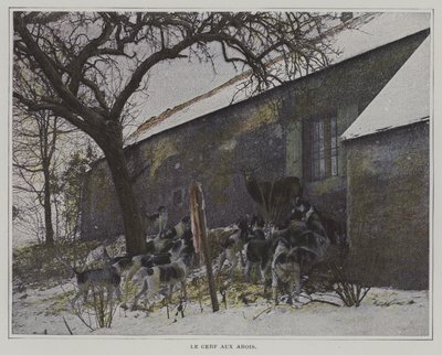 Hjorten i schack av French Photographer