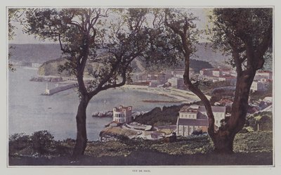 Utsikt över Nice (färgfoto) av French Photographer