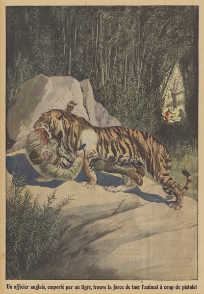 En brittisk officer, buren av en tiger, finner styrkan att döda djuret med sin pistol (färg litho) av French School