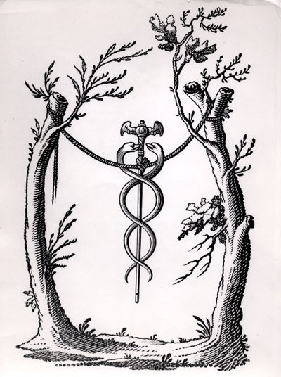 I Caduceus av French School