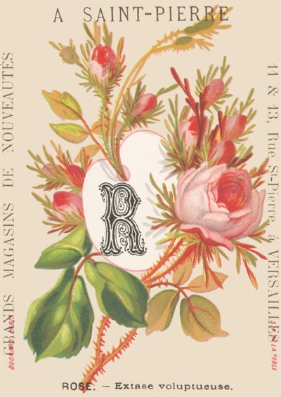 A: Rosa - Vällustig extas av French School