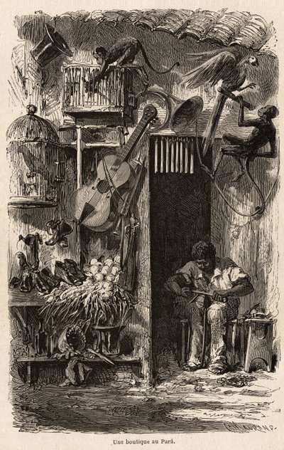 En butik vid Para, illustration för Mr.Biards resa till Brasilien 1858-1859. Gravyr i ”” Le tour du monde”” 1861. Selvas samling. av French School