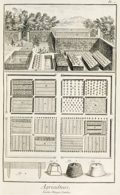 En grönsaksträdgård, från The Encyclopedia of Science, Art and Engineering av Denis Diderot (1713-84), ca 1770 av French School