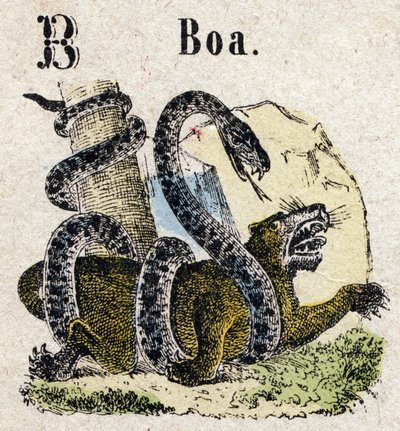 Abecedary. Bokstaven B som Boa. Litet encyklopediskt alfabet, populär serie. Epinal avbildning, sent 1800-tal av French School