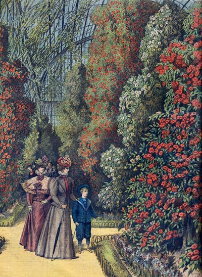 Acklimatiseringsträdgård - la serre des camelias - Kameliaväxthus i en botanisk trädgård av French School