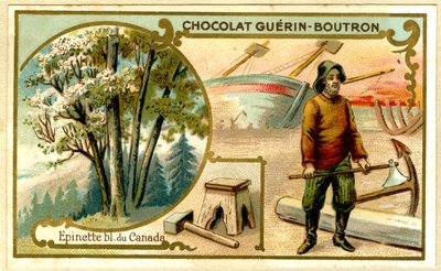 Reklamkromolitografi av Guérin Boutron-choklad (kromolitografi) av French School