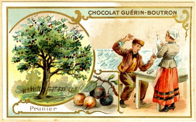 Reklamkromolitografi av Guérin Boutron-choklad (kromolitografi) av French School