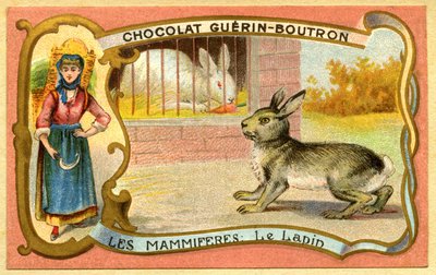 Reklamkromolitografi av choklad Guerin Boutron, Däggdjur, Kaninburen och vilda, warren av French School