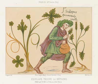 Aesculapius upptäcker betoni av French School