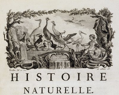 Allegory of Natural History on Birds - i "" Natural, General and Particular History"" av Buffon av French School