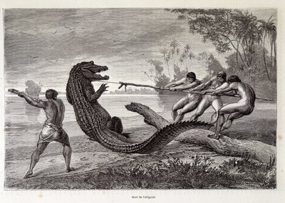 Alligator Hunt, Brasilien, "" Round the World"" 2:a veckan 1874. av French School