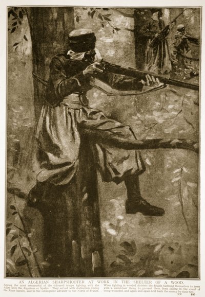 En algerisk skarpskytt på jobbet i skydd av en skog, 1914-19 av French School