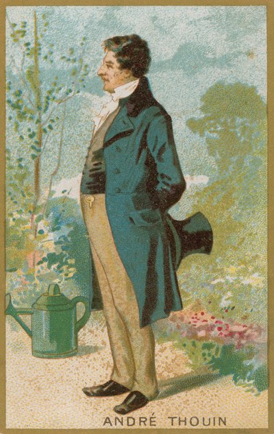 Andre Thouin av French School