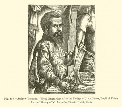 Andrew Vesalius (gravyr) av French School