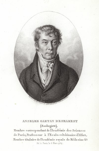 Anselme Gaetan Desmarest av French School