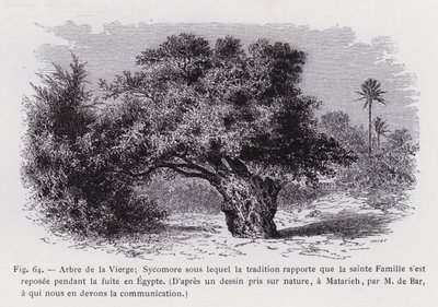 Jungfruns träd; Sycamore under vilken traditionen rapporterar att den heliga familjen vilade under flykten till Egypten, Från en teckning tagen från naturen, vid Matarieh, av M. de Bar, till vilken vi är skyldiga meddelandet (gravyr) av French School