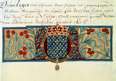 Armes de France (omgiven av halsbandet av Saint Michels orden (Saint Michel) och befäst av den kungliga kronan) av French School