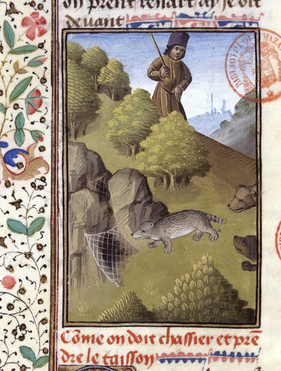 Grävlingsjakt - i "" Jaktbok av Gaston Phoebus, greve av Foix, Lord of Béarn"" av French School