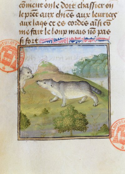 Grävlingar, från Jaktens bok av Gaston Phebus de Foix (1331-91) av French School