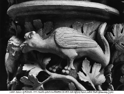 Basilisk, huvudstad från katedralen Notre Dame i Reims (gips av sten) av French School