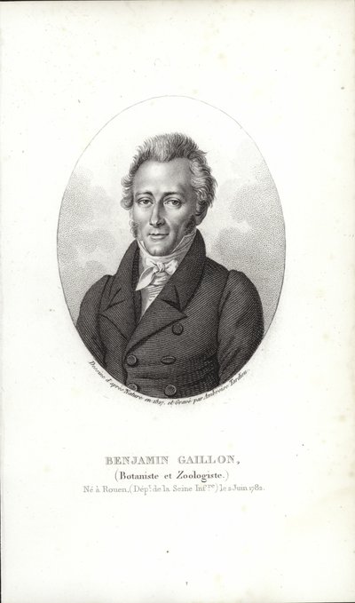 Benjamin Gaillon av French School
