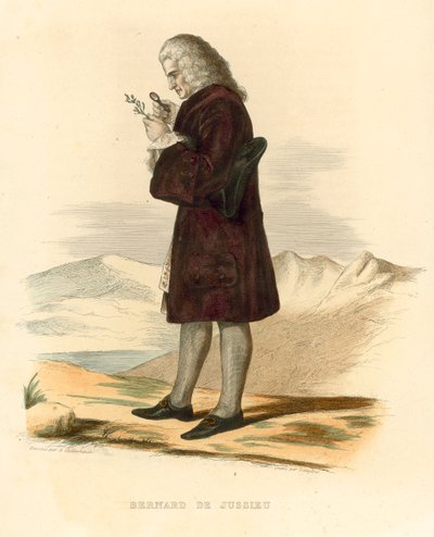 Bernard de Jussieu (färgad gravyr) av French School