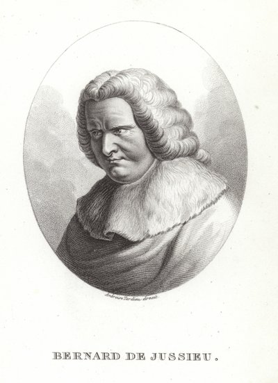 Bernard de Jussieu av French School