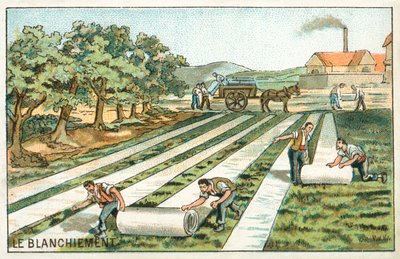 Blekning (chromolitho) av French School