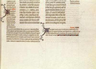 Längst ner på en sida utan miniatyr, från The Bible of Jean de Sy, c.1355 av French School