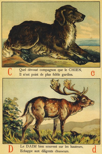 C som hund och D som mocka av French School