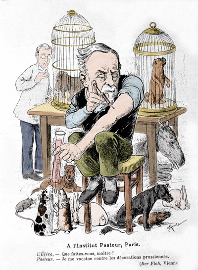 Tecknad bild av vetenskapsmannen Louis Pasteur, uppfinnaren av vaccinet mot rabies, som vaccinerar sig mot preussiska dekorationer. Publicerad i "Der Floh"" av French School