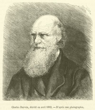 Charles Darwin, avled i april 1882 (gravyr) av French School