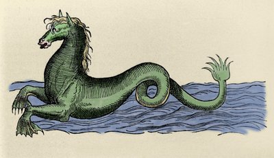 Cheval marin i ""The Aquatilibus"" av French School
