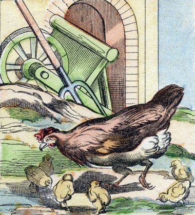 Kyckling och kycklingar. Gravyr i "Buffon Alphabet des Oiseaux n 2". 3:e Serie N 2. Avbildning av Epinal, Epinal, sent 1800-tal. 16 sidor. Mått: 28x21cm av French School