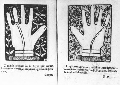 Chiromantic Hands, illustration från Chiromatiae Principiis ... Anastasis av Bartolommeo della Rocca (Cocles) 1467-1504) 1555 av French School