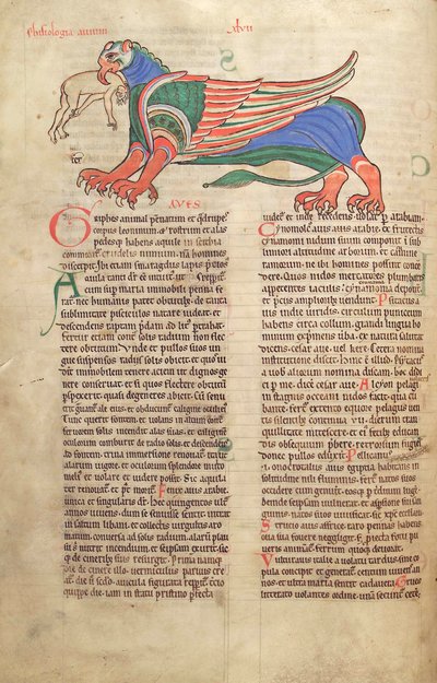 Torsk. Gulf. 1 Gud. lat. 39v, A Griffin Devouring a Man, från Liber Floridus av Lambert de Saint-Omer c.1120 av French School