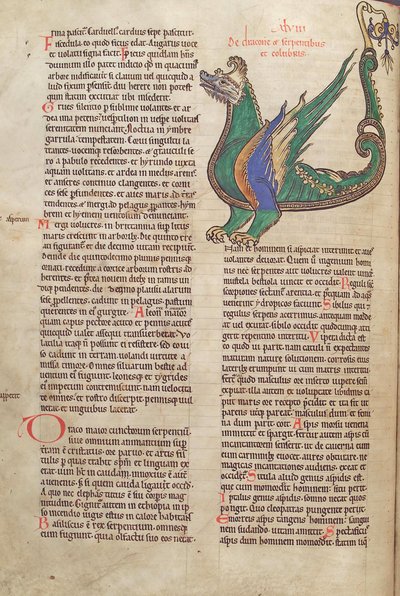 Torsk. Gulf. 1 Gud. lat. 40v, text med illustration av en drake, från Liber Floridus av Lambert de Saint-Omer c.1120 av French School
