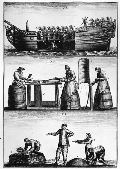 Torskfiske: lasta, skiva och salta fisk - i "General Treatise on Fisheries" av Duhamel du Monceau av French School