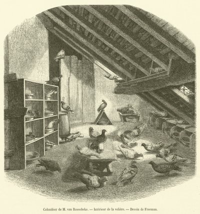 Colombier de M van Roosebeke, Interieur de la voljär (gravyr) av French School