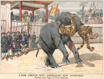 Kamp mellem en tiger og en elefantgift av French School