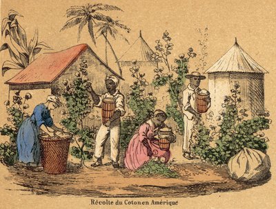 Bomull (färgad gravyr) av French School