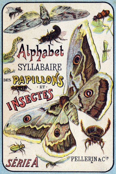 Omslag till "Syllabary alfabetet av fjärilar och insekter"". Serie A. Pellerin et Cie, tryckare-förlag, Epinal, sent 1800-tal. Kromolitografier. Litet 8-sidigt reklamalbum som innehåller en kursplan och ett bildspråk tillsammans med beskrivande texter. D av French School