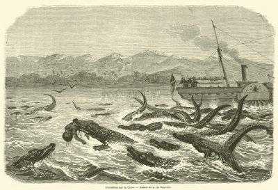 Crocodiles on the Chire (gravyr) av French School