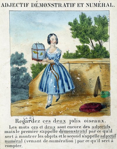 Demonstrativt och numeriskt adjektiv (en flicka som bär en bur med 2 fåglar) - i "" La grammaire en images"" av French School