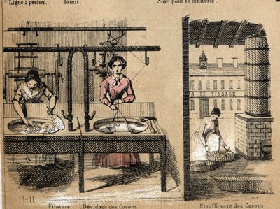 Beskrivning av grödan och silkesprodukterna: arbetare som spinner silke, tar bort eller kväver kokonger. Tallrik "" la soie"" i "" les Recreations instructives"" Synoptisk målning av Jules DELBRUCK, gravyr från 1860. Privat samling. av French School