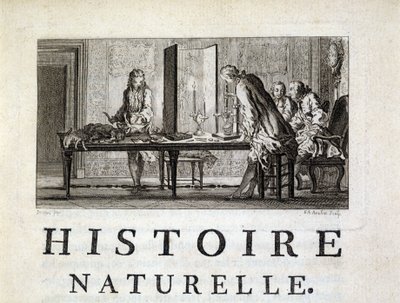 Dissekering av djur - i "" Naturlig, allmän och speciell historia"" av Buffon av French School