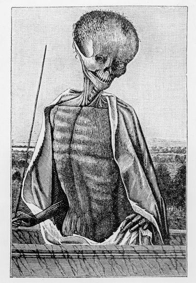 Doctor Death, från en bok med timmar, illustration från vetenskap och litteratur under medeltiden och renässansen, skriven och graverad av Paul Lacroix, 1878 av French School