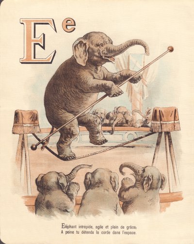 E: Elefant, ekvilibristisk orädd elefant, smidig och full av nåd, slappnar knappt av repet i rymden av French School